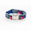 Pet Collar Leash Set