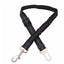 Seatbelt Secured Car Leash
